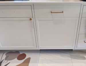 Dishwashers and Undercounter units (3)