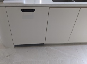 Dishwashers and Undercounter units (5)